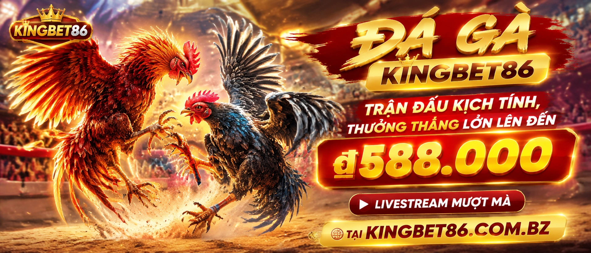 Kingbet86 danh mục Đá Gà và lối vào nội dung trực tiếp
